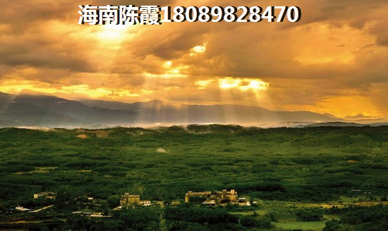 保亭未来发展怎么样