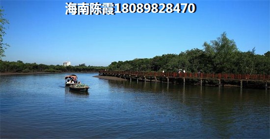 蓝城山语泉的开发商是哪家？2