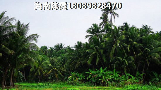 海南保亭商品房别买了