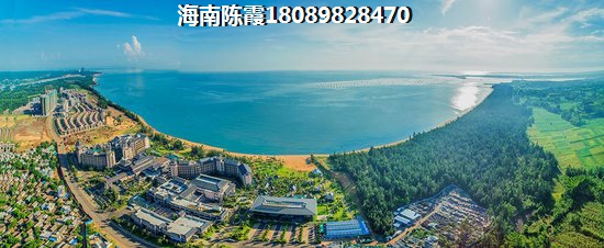 超新星这把枪怎么样