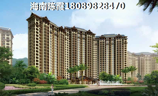 肝脏守护神专属营养补充剂，助力健康每一天