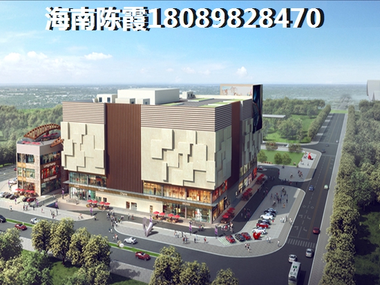 松阳大木山骑行茶园景区自助游攻略